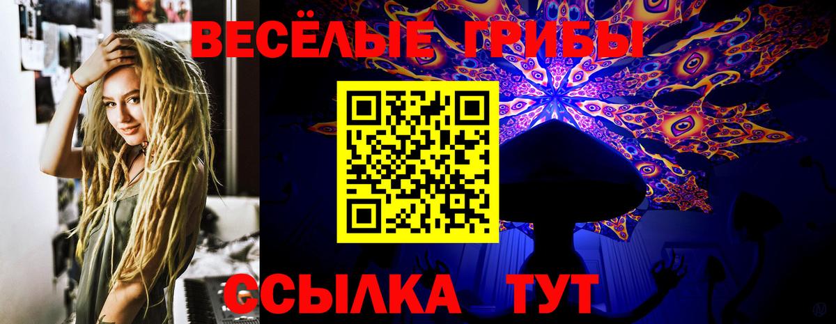 Галлюциногенные грибы ЛСД Курчалой
